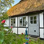 Artist's With Field Views On Mon * Stege