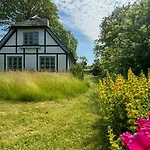 Artist's With Field Views On Mon Stege