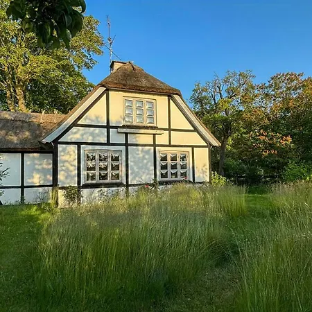 Artist's With Field Views On Mon * Стеге