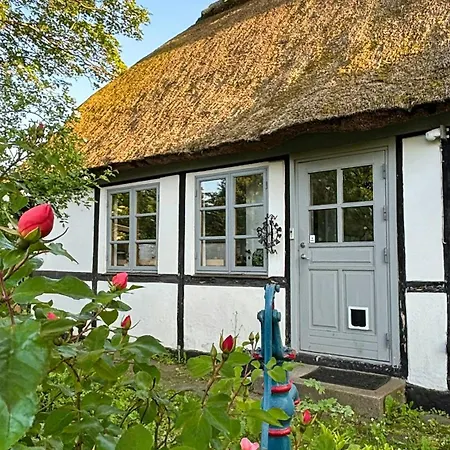 Artist's With Field Views On Mon * Stege