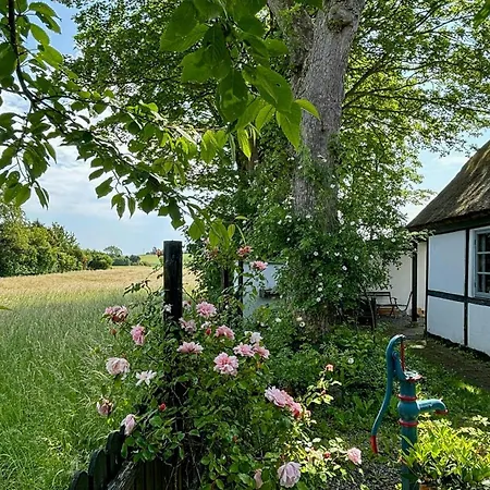 Artist's With Field Views On Mon Stege