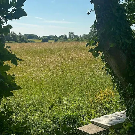 Artist's With Field Views On Mon Casa de Férias *