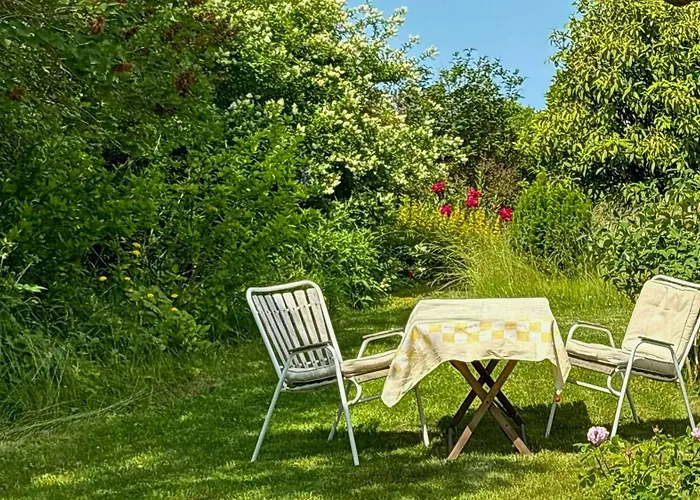 Artist's With Field Views On Mon Stege