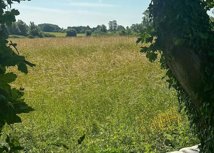 Artist's With Field Views On Mon Stege